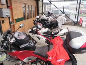 雨の中走ってきてくれました。