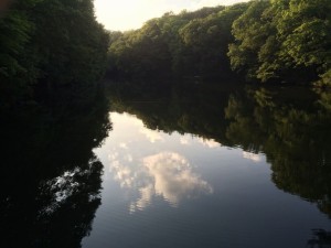 securedownload[1] (2)