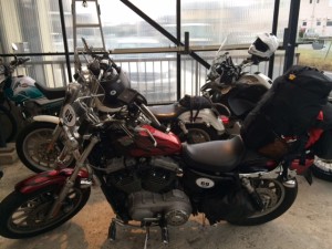 securedownload[1] (2)