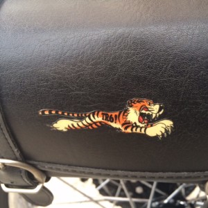 securedownload[1] (3)